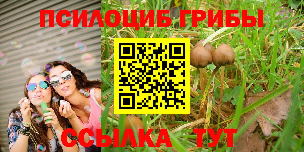 Псилоцибиновые грибы Psilocybine cubensis  Вход с VPN  Менделеевск 