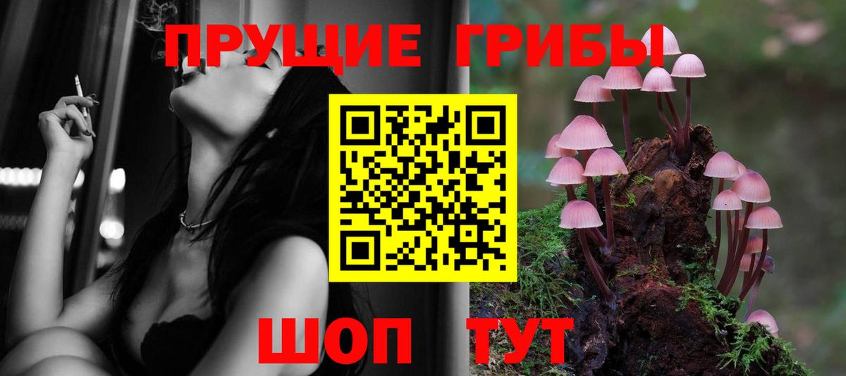 Галлюциногенные грибы Psilocybine cubensis Менделеевск